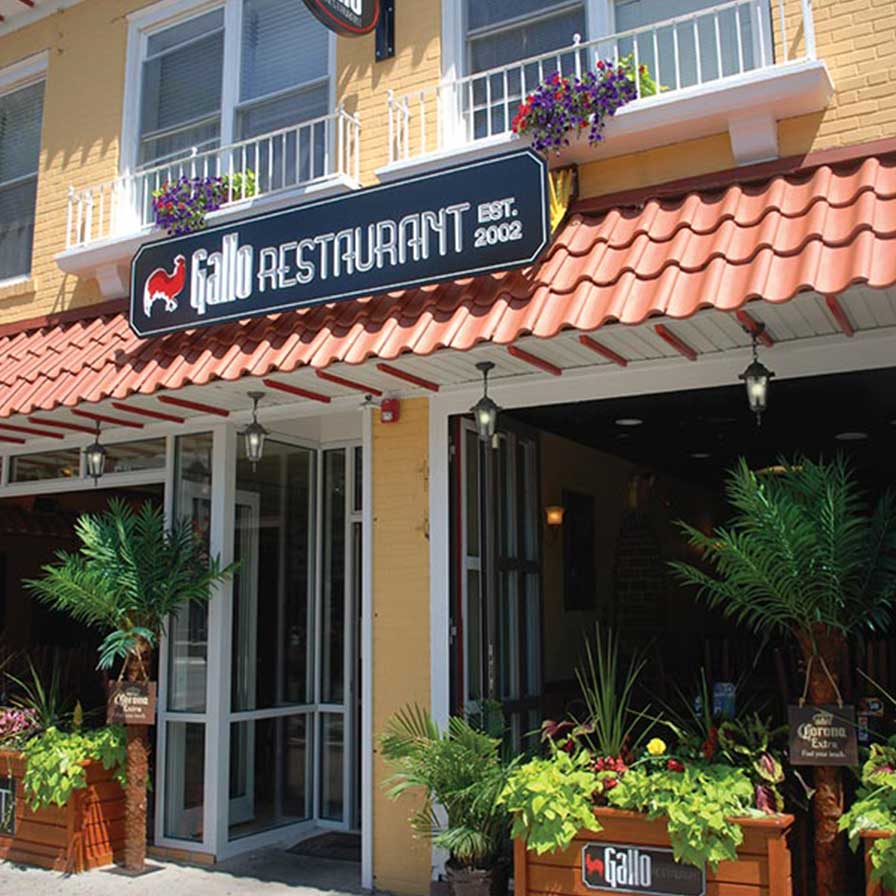 Gallo Restaurant Dinner/Lunch Menu